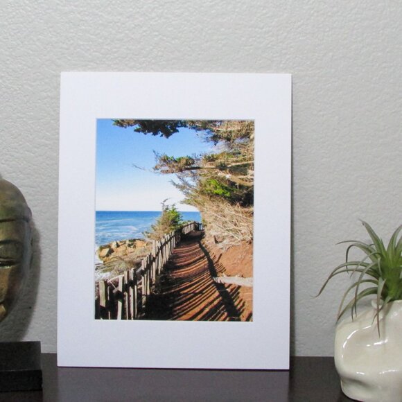 NWT Photography Print Matted - Mendocino Coast California Trail 11"x14" - Picture 1 of 2